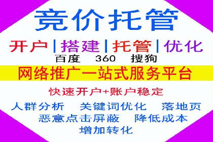 SEM主管案例分析：提升ROI策略